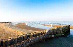 Una spiaggia deserta sul Delta del Po, vicino a Porto Tolle nel Veneto