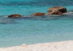 Una spiaggia nei pressi di Santa Maria a Ricadi in Calabria