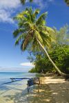Una spiaggia sull'isola di Huahine, Polinesia Francese, con palme da cocco e una tipica barca in legno.

