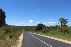 Una strada deserta nei pressi del Parco Nazionale Zombitse-Vohibasia, Madagascar. Quest'area naturale è raggiungibile attraverso la Route Nationale 7 che collega Antananarivo a Toliara.
 ...