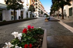 Una strada nel centro di Caserta, Campania, affiancata da ampi marciapiedi alberati. 
