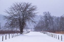 Una strada ricoperta dalla neve nella vallata di Cades Cove sulle Great Smoky Mountains (USA).  E' una delle zone più frequentate da chi si reca in visita in questo territorio ...