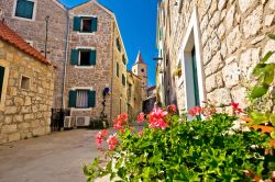 Una stradina in pietra abbellita da fiori nel centro di Pirovac, Croazia.

