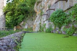 Una vecchia fontana con vasca in pietra a Monterano, Roma, Lazio.



