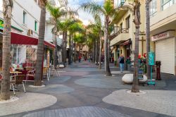 Una via alberata del centro di Puerto de la Cruz, Tenerife, isole Canarie, Spagna - © BBA Photography / Shutterstock.com