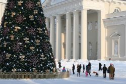 Una Vinius innevata con il maestoso albero di Natale davanti alla Cattedrale