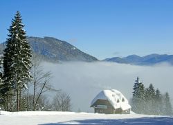 Uno chalet sulla Ski Arena di Tarvisio sulle Alpi Carniche in Friuli Venezia GIulia - © Pecold / Shutterstock.com