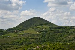 Uno dei coni vulcanici dei Colli Euganei, il gruppo di vulcani estinti in massima parte nella provincia di Padova, in Veneto.