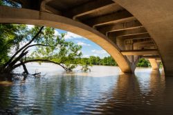 Uno scorcio da sotto il Lamar Boulevard Bridge a Austin, Texas (USA): questo storico ponte permette alla Texas State Highway Loop 343 (Lamar Boulevard) di attraversare il Lady Bird Lake.

