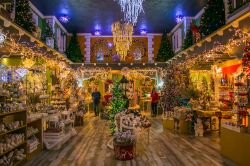 Uno scorcio del Regno di Santa Claus nei pressi di Vetralla, provincia di Viterbo, Lazio. L'interno del negozio di articoli natalizi situato sulla Cassia a Vetralla: atmosfere magiche, decorazioni ...