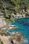 Uno scorcio della costa rocciosa a picco sul mare a Rayol-Canadel-sur-Mer, Francia - © Pack-Shot / Shutterstock.com
