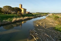 Uno scorcio della costa selvaggia di Marina di Alberese in Toscana