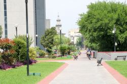 Uno scorcio della Macroplaza di Monterrey, Messico. In questa spianata di quasi 40 ettari convivono edifici avanguardisti e in stile coloniale.



