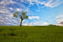 Uno scorcio delle campagne intorno a Morciano di Romagna.