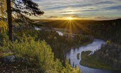 Uno scorcio dell'Oulanka National Park a Kuusamo, Finlandia. Foreste di pini, vallate fluviali con rapide e banchi sabbiosi, torbiere: la riserva si trova nei Comuni di Kuusamo e Salla.
 ...