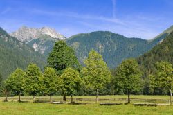 Valle del Karwendel nei pressi di Pertisau, Austria - Uno scorcio del parco naturale del Karwendel che comprende ben 11 aree protette che possono essere esplorate grazie a interessanti escursioni ...