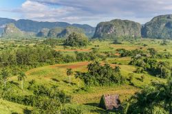 Il panorma della Valle de Viñales a Cuba, Patrimonio dell'Umanità dichiarato dall'UNESCO - © venemama - Fotolia.com