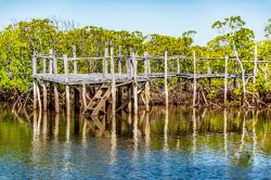 Il vecchio molo di legno costruito vicino alla foresta di mangrovia a Takwa, Manda Island, Kenya. Quest'isola fa parte dell'arcipelago Lamu ed è famosa per i porti di Takwa e ...