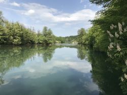 Veduta del fiume Krka nei pressi di Otocec, Slovenia. Lungo 72,5 km, questo corso d'acqua nasce nelle Alpi Dinariche e sfocia nell'Adriatico vicino a Sebenico.



