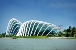 Veduta della Cloud Forest e Flower Dome ai Gardens by the Bay a Singapore - © 216624295 / Shutterstock.com