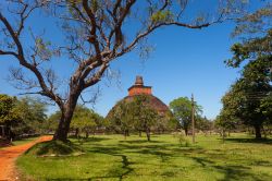 Veduta dell'antico stupa di Jetavan nella città di Anuradhapura, Sri Lanka. Questo monumento in mattoni rossi raggiunge i 70 metri di altezza.
