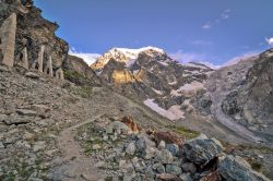 Veduta delle Alpi svizzere nei pressi del villaggio di Arolla. Questa località, seppur discreta e di piccole dimensioni, è famosissima per la sua stazione sciistica.
