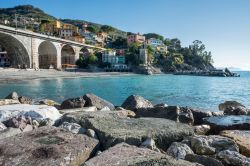 Veduta di Zoagli con le sue case colorate e la spiaggia di ciottoli dalle rocce del molo (Liguria).

