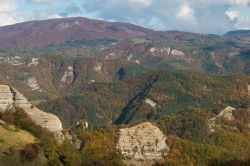 Veduta panoramica delle Foreste Casentinesi nei pressi di Camaldoli, Toscana. Questa frazione del Comune di Poppi fa parte del Parco Nazionale delle Foreste Casentinesi.



