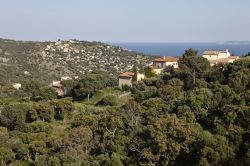 Veduta panoramica dell'isola di Port Cros, Francia. Siamo nella più selvaggia e incontaminata delle isole d'Oro. Cuore di uno dei primi parchi nazionali di Francia, ha saputo ...