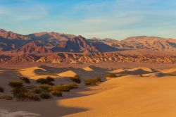 Veduta panoramica sulle dune di sabbia della Death Valley in California, Stati Uniti d'America. Il momento migliore per visitarle è poco prima dell'alba o del tramonto quando ...