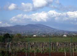 Le campagne intorno a Velletri e il Monte Artemisio dei colli Albani - © Deblu68 - Wikimedia Commons.