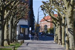 Viale alberato in una strada della città di Lund, Svezia. Siamo a circa 18 km da Malmo e 600 dalla capitale Stoccolma.
