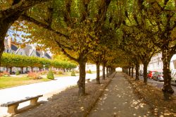 Un viale alberato nel centro di Nevers, Borgonga-Franca Contea (Francia), all'inizio dell'autunno.
