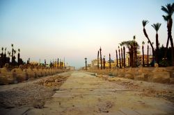 Il Viale delle Sfingi è lungo 3 km e collega il complesso dei templi di Karnak al Tempio di Luxor, in Egitto.
