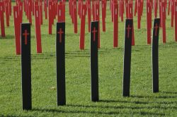 Victoria Square a Adelaide (Australia): centinaia di paletti in memoria delle persone che hanno perso la vita in incidenti stradali nello stato del sud Australia - © ChameleonsEye / Shutterstock.com ...