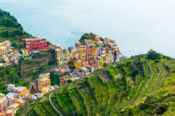 Vista aerea di Manarola con i terrazzamenti delle Cinque Terre, e il mare della Riviera di Levante, in Liguria