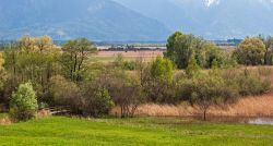 Vista del paesaggio di Murnau in primavera