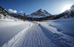 Vista della Val Viola al tramonto: siamo a pochi ...