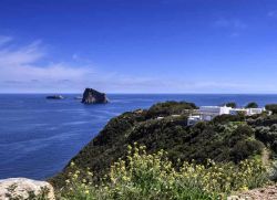 Vista di Basiluzzo dall'isola di Panarea, Sicilia - Una bella veduta dell'isolotto di Basiluzzo dall'alto di Panarea © Angelo Giampiccolo / Shutterstock.com