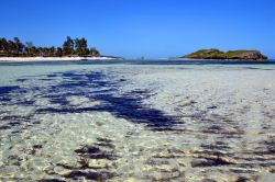 Kenya: il Watamu Marine National Park & Reserve. Fondato nel 1968, comprende le acque delle diverse baie di Watamu, dove vivono oltre 600 specie ittiche.