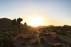 Zona desertica nei pressi di Palm Springs, California, al calar del sole.
