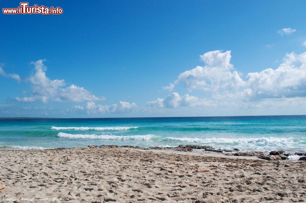 Immagine Platja de Llevant una delle spiagge più tranquille di Formentera in Spagna- © Naeblys / Shutterstock.com