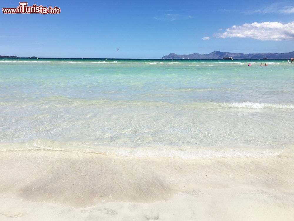 Immagine Playa de Muro a Maiorca, isole Baleari, Spagna. Situata nella parte settentrionale della grande baia di Alcudia, questa spiaggia è lunga diversi chilometri e larga una ventina di metri. E' adatta a famiglie con bambini perchè degrada dolcemente in mare.