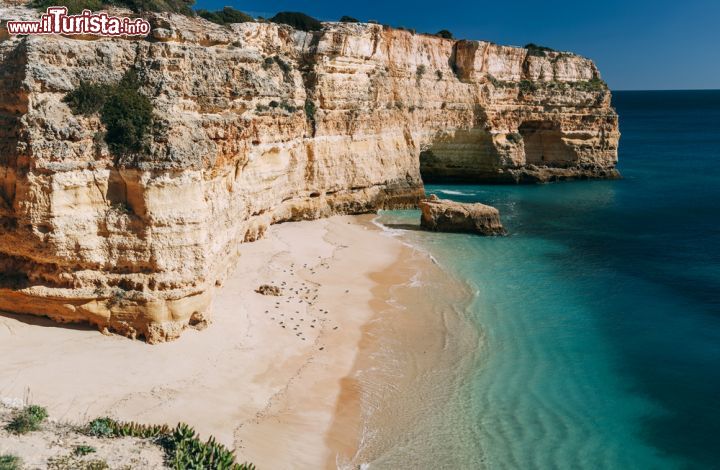 Le foto di cosa vedere e visitare a Lagoa