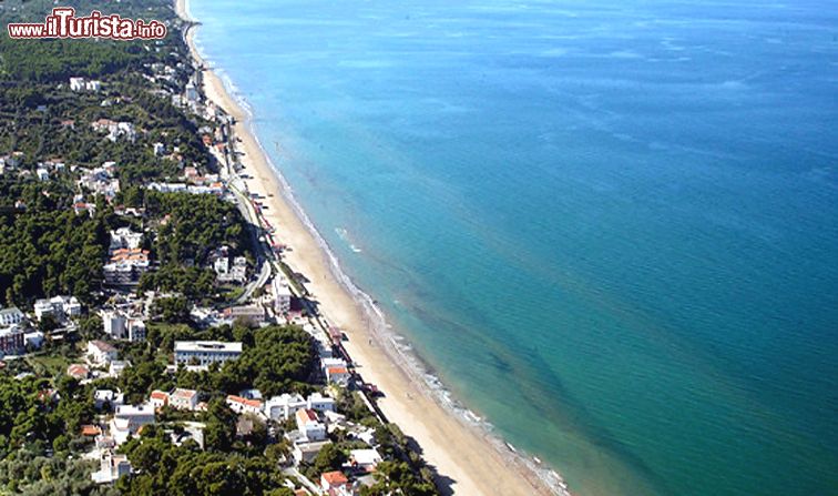 Immagine San Menaio, vista aerea di una delle sue belle spiagge nel Gargano (Puglia) - © wikipedia
