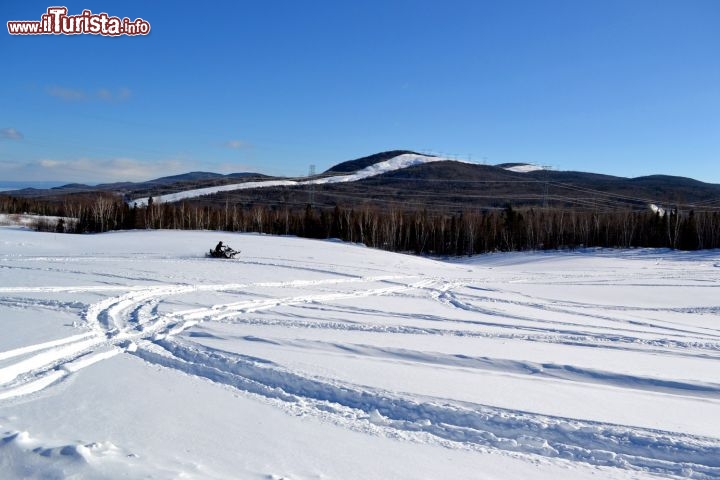 Immagine Ski-doo, Quebec: una delle esperienze più divertenti di una vacanza invernale in Québec è quella di noleggiare uno ski-doo e partire alla volta dei sentieri in mezzo ai boschi e concedersi, sotto la supervisione di una guida, magari anche un fuoripista.