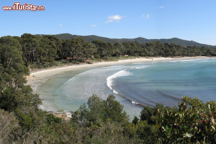 Immagine La spiaggia di Cabasson, Le Lavandou, Provenza-Alpi-Costa Azzurra (Francia). Questo tratto di litorale si trova in una bella ansa con vista panoramica sul forte di Bregancon, residenza di stato per la villeggiatura del Presidente della Repubblica.