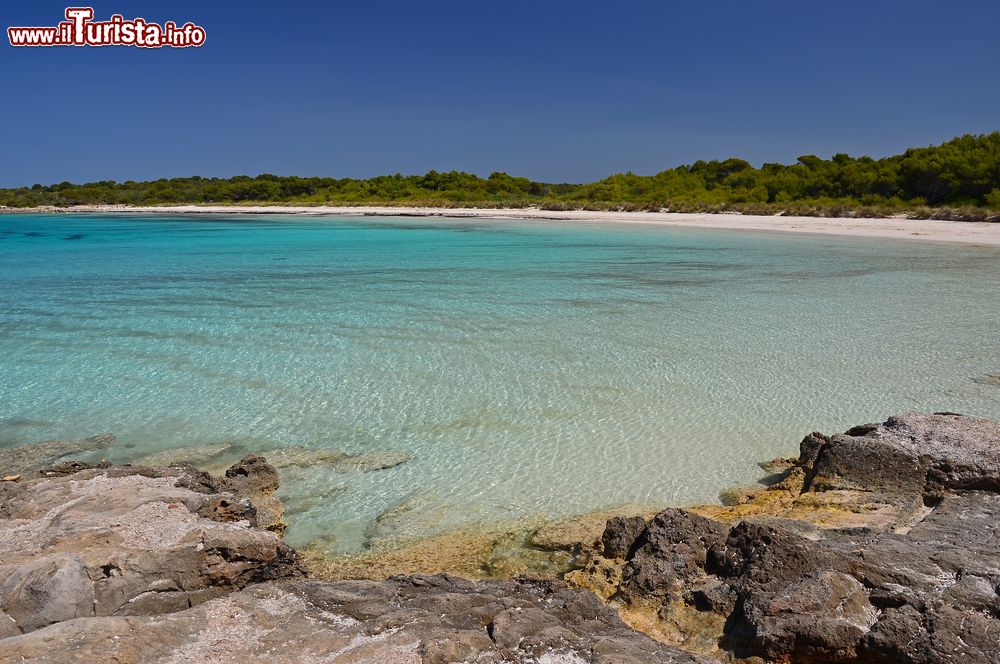 Immagine La spiaggia di Son Saura a Minorca, Isole Baleari, Spagna. E' una delle spiagge più belle e selvagge dell'isola: lunga 300 metri, è situata sul versante sud orientale e appartiene a un tratto costiero fra i meno accessibili. A fare da cornice alla sabbia bianca finissima c'è una splendida pineta.