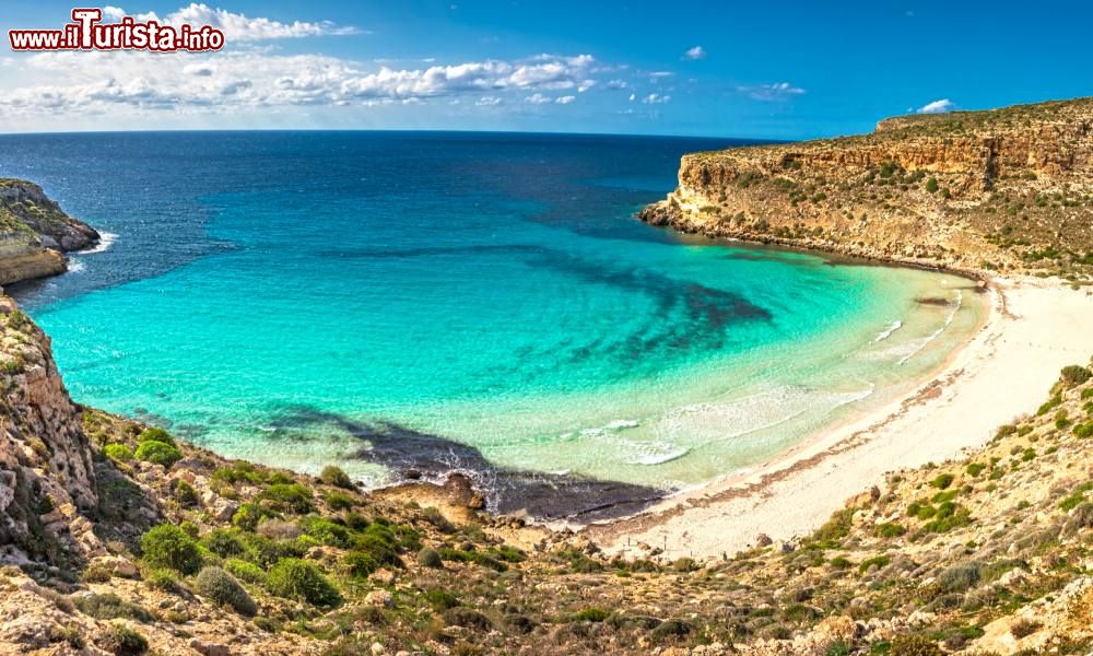 Immagine Tra le spiagge più belle di Lampedusa quella dei Conigli rappresenta uno dei lidi migliori