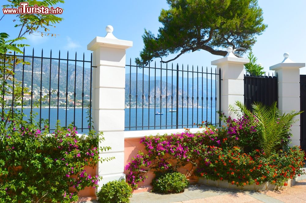 Immagine Un giardino a Beaulieu sur Mer, Costa Azzurra,  Coeur Riviera